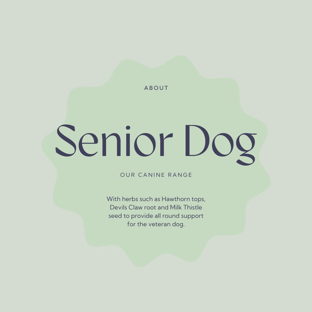 Senior Dog Health Supplement 4.4 oz Tub E775577