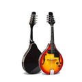 Electric Mandolin Spruce 8 Strings Sunburst M778362
