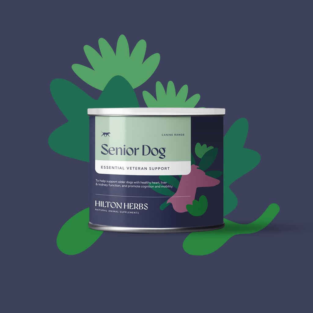 Senior Dog Health Supplement 4.4 oz Tub E775577