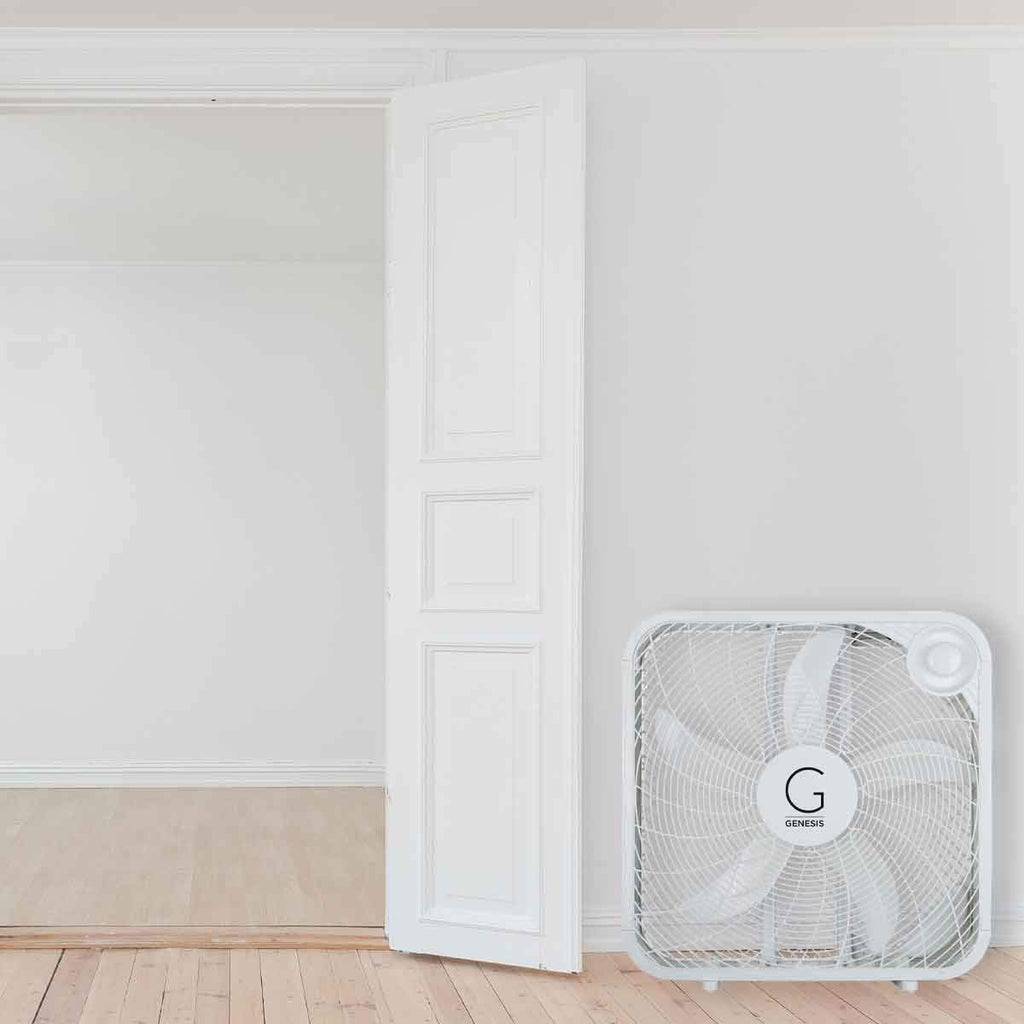 20" Box Fan, 3 Settings, Carry Handle, White L6580