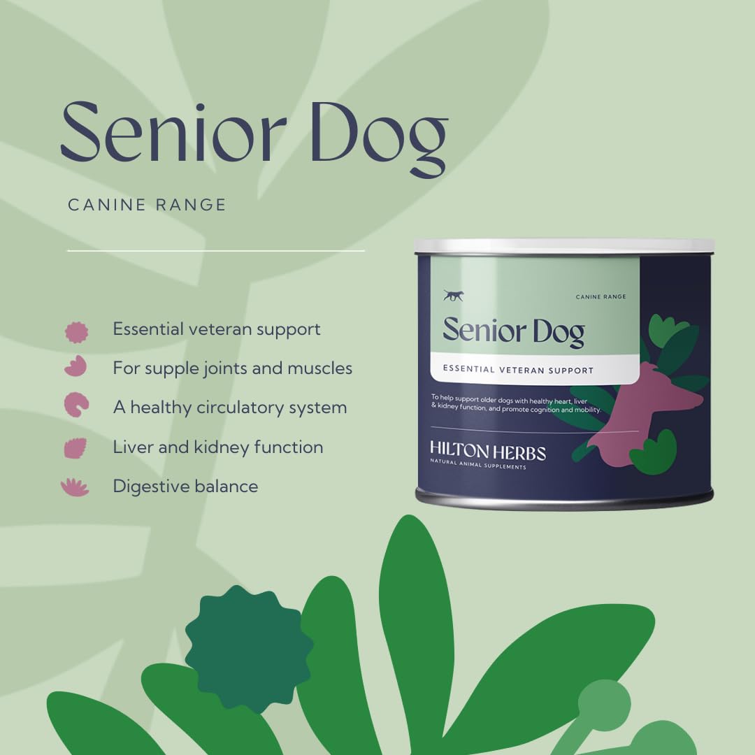Senior Dog Health Supplement 4.4 oz Tub E775577