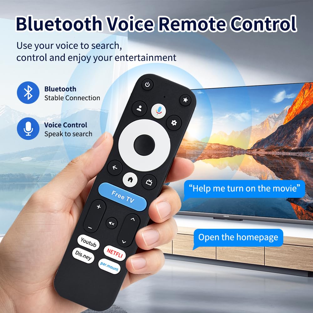 Voice Remote Replacement Control N638
