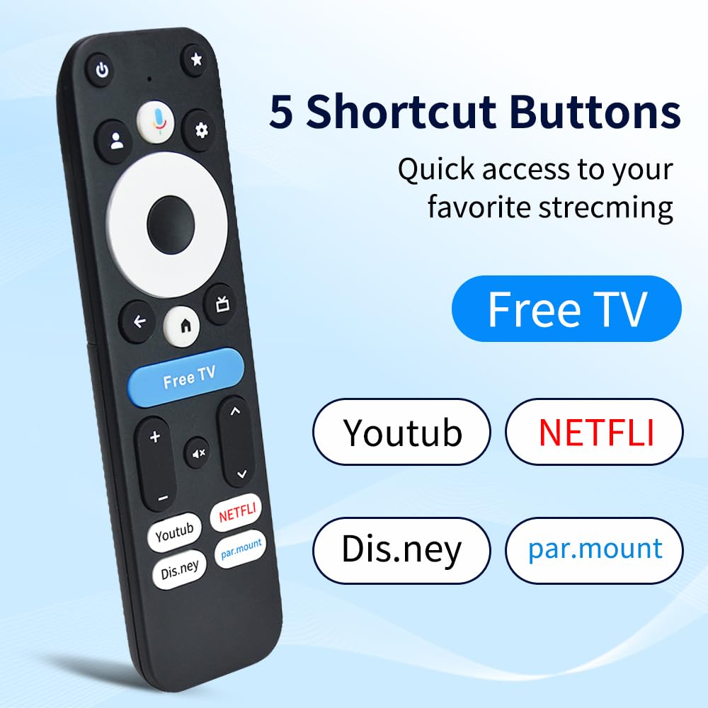 Voice Remote Replacement Control N638
