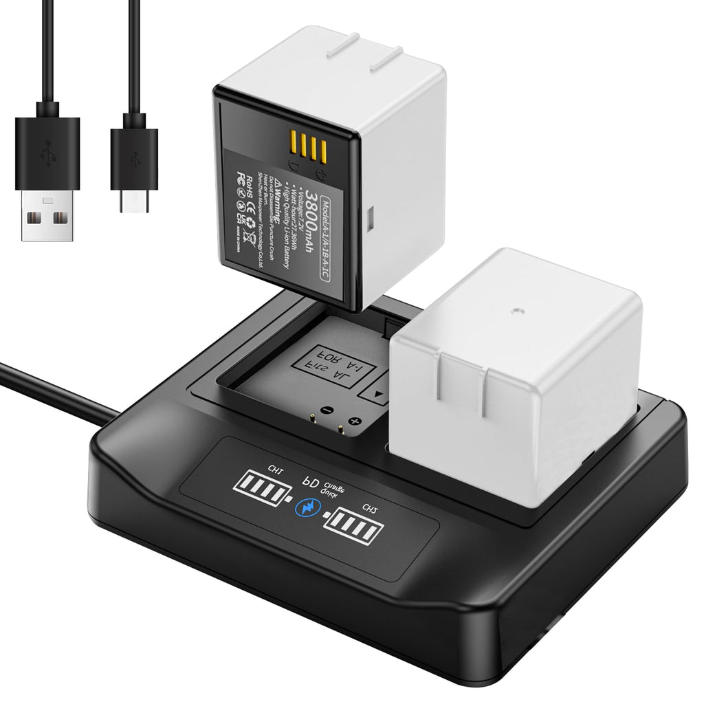 2-Pack Rechargeable Batteries with LCD Dual Charger N7833