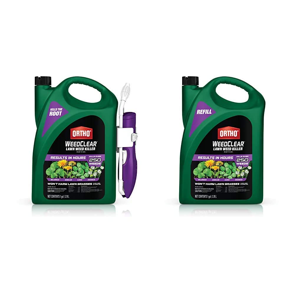 Lawn Weed Killer Ready-to-Use with Comfort Wand Q476
