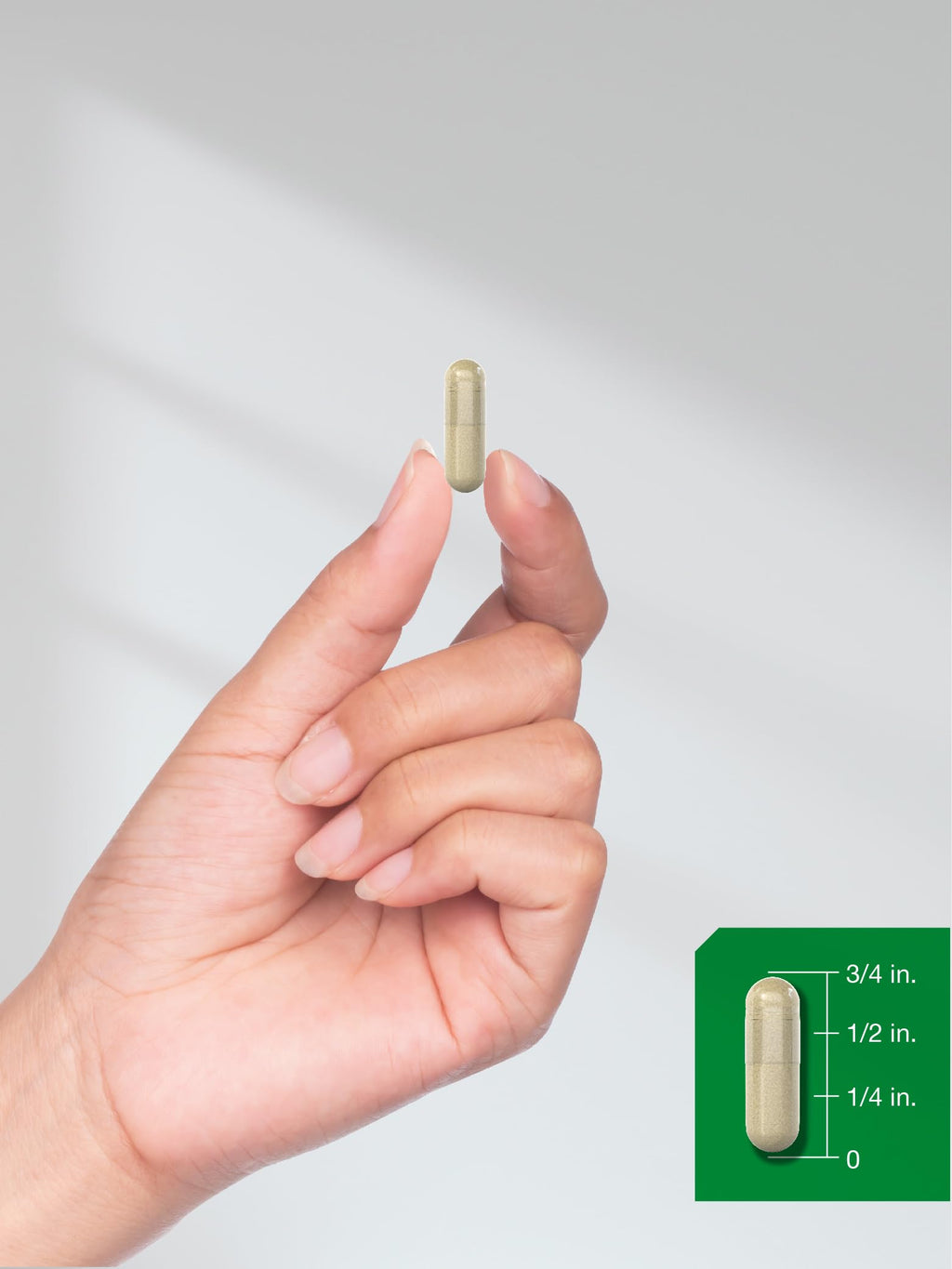 Moringa Oleifera 300 Capsules B2256