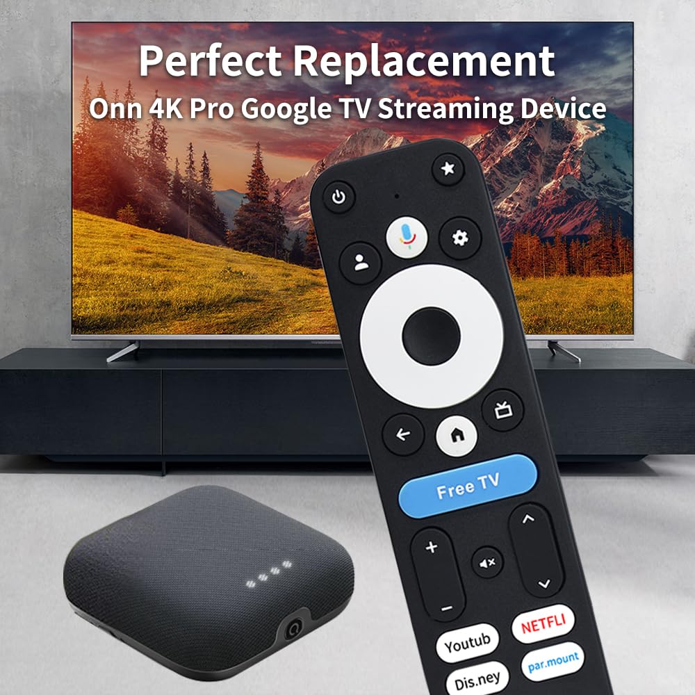 Voice Remote Replacement Control N638