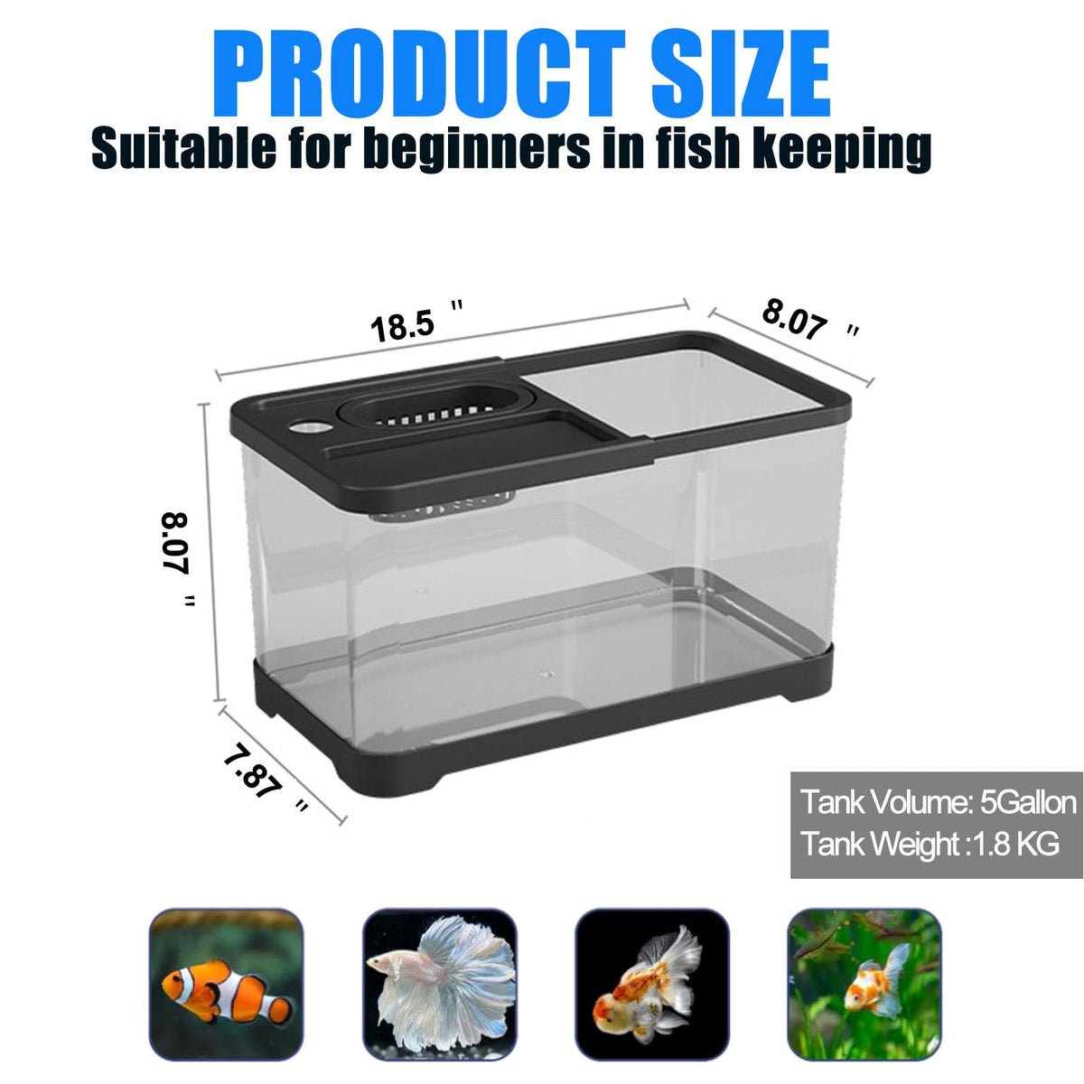 5 Gallon Plastic Aquarium Starter Kit with Filter and LED Light M473892