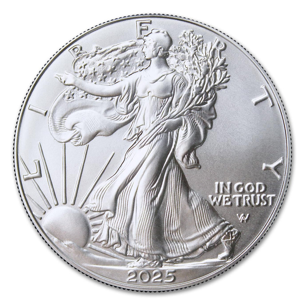 1 oz American Silver Eagle Coins O245506