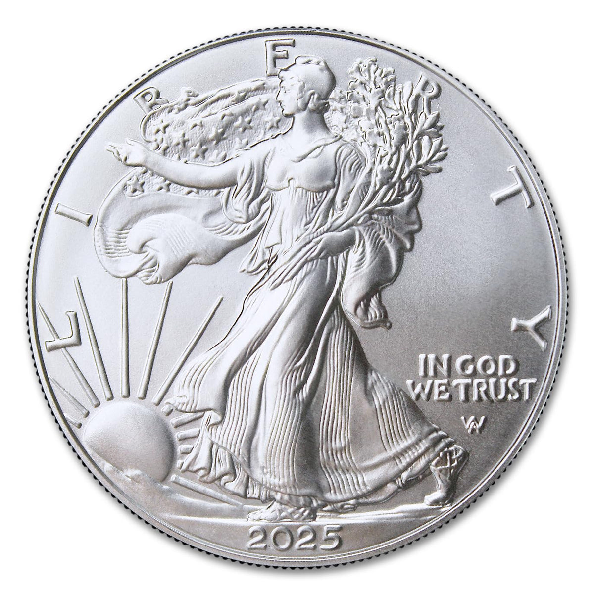 1 oz American Silver Eagle Coins O245506