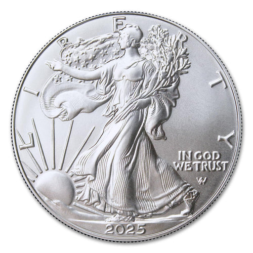 1 oz American Silver Eagle Coins O245506