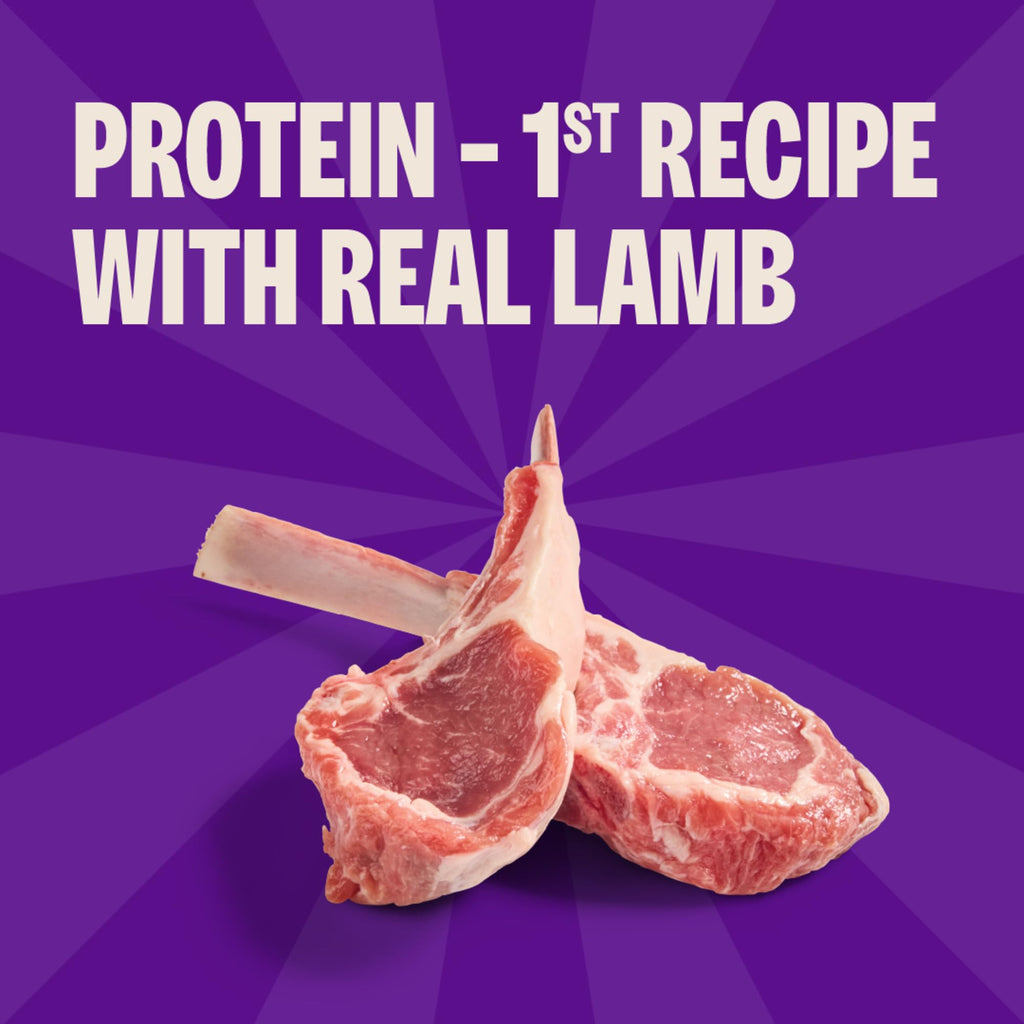 Soft Grain Free Lamb and Salmon Recipe Dog Training Treats 8 oz Bag X47718