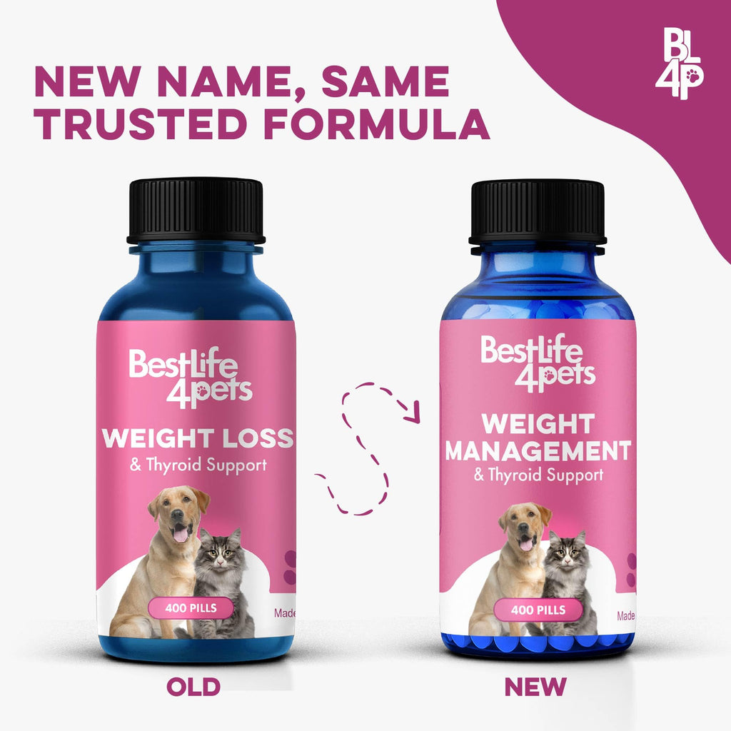 Weight Loss for Dogs 400 Pills P12221