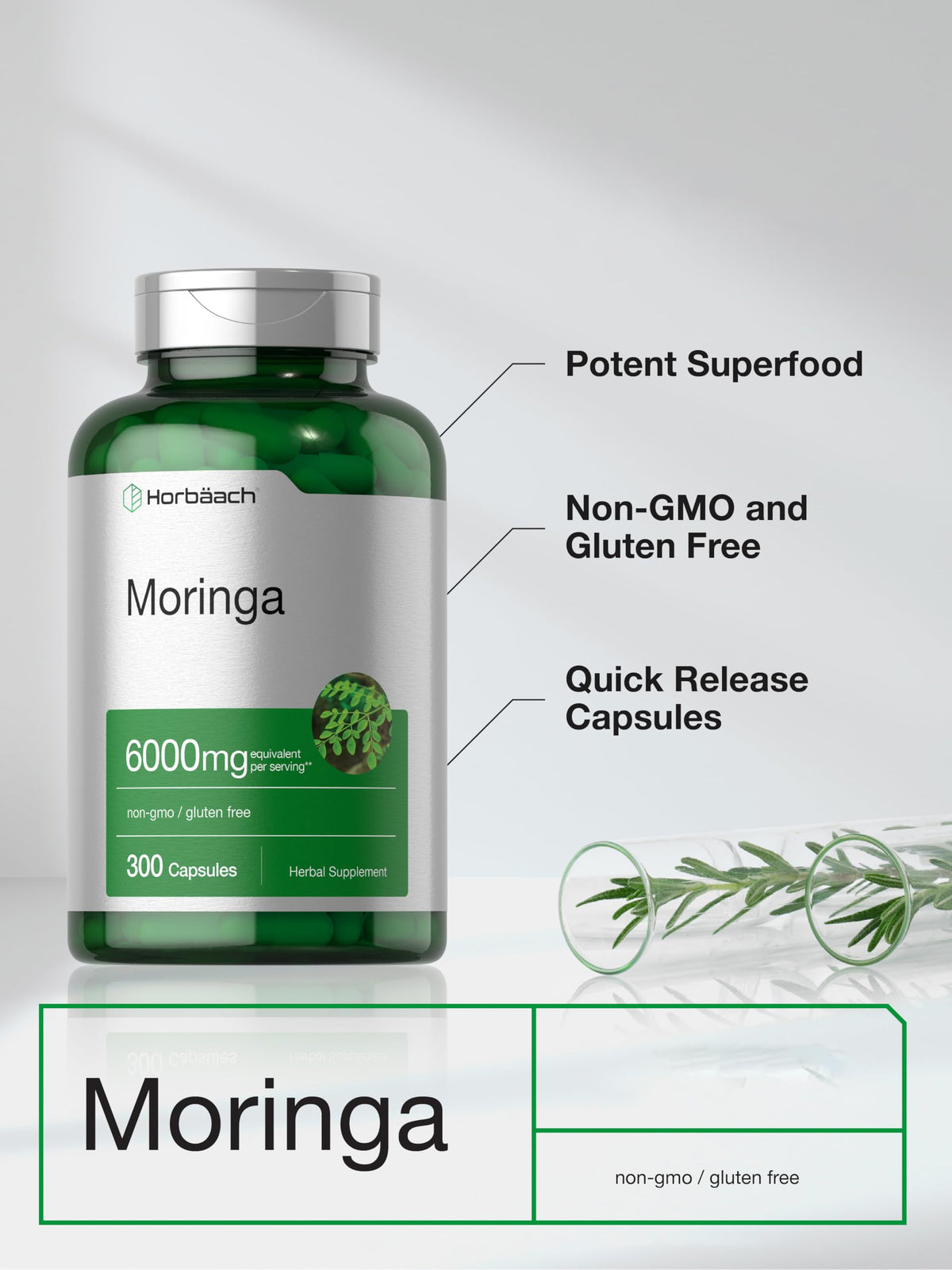 Moringa Oleifera 300 Capsules B2256