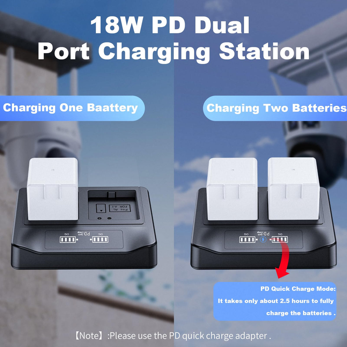 2-Pack Rechargeable Batteries with LCD Dual Charger N7833