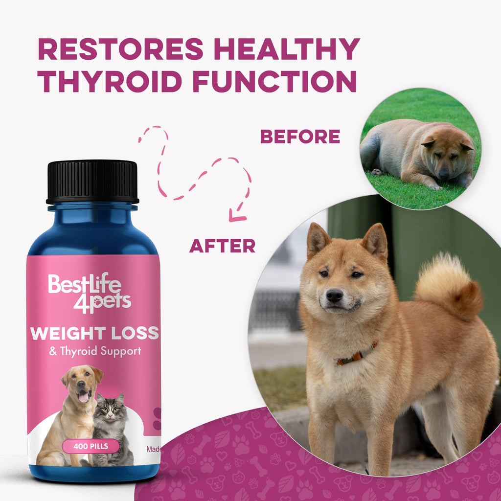 Weight Loss for Dogs 400 Pills P12221