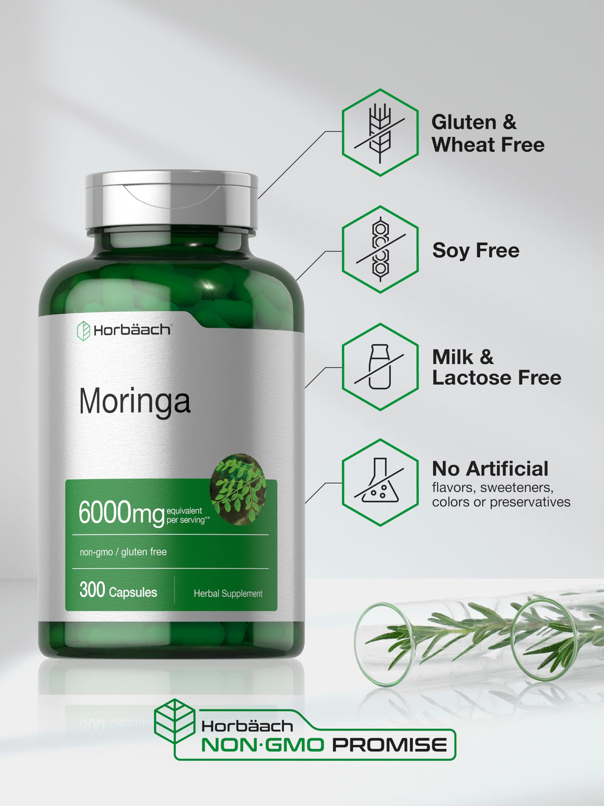 Moringa Oleifera 300 Capsules B2256