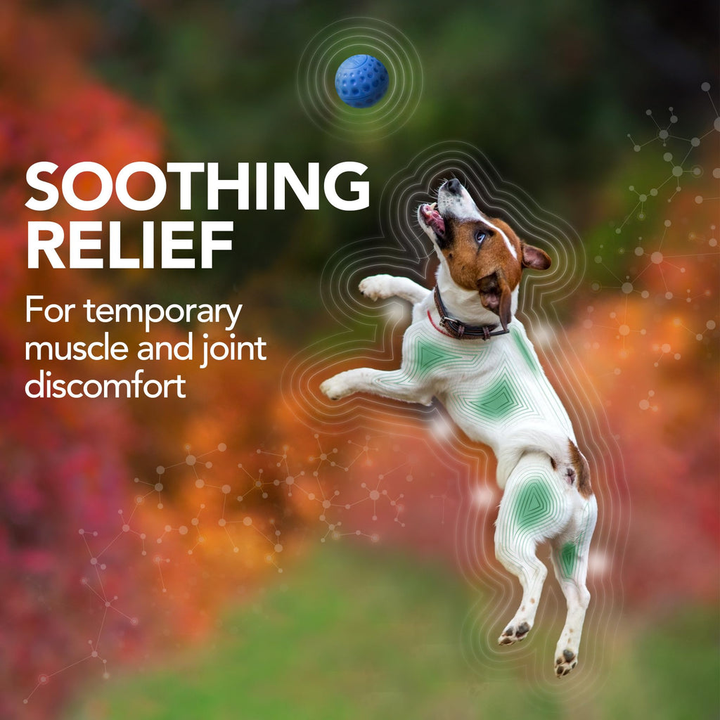 Dog Hip & Joint Support Tablets 150 Count Pack of 2 V8595