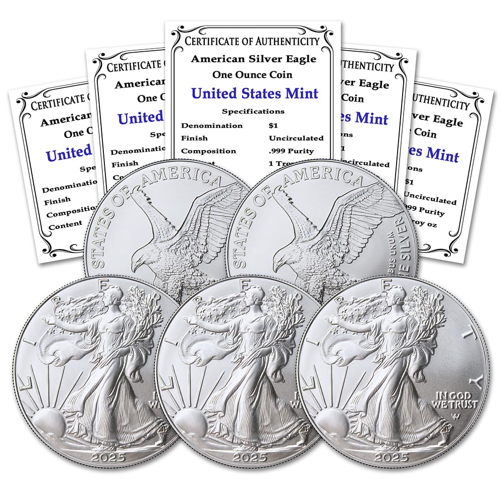 1 oz American Silver Eagle Coins O245506