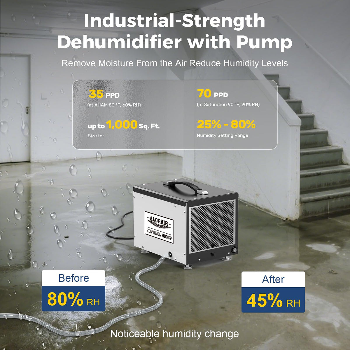 70 PPD Dehumidifier with Pump W5389