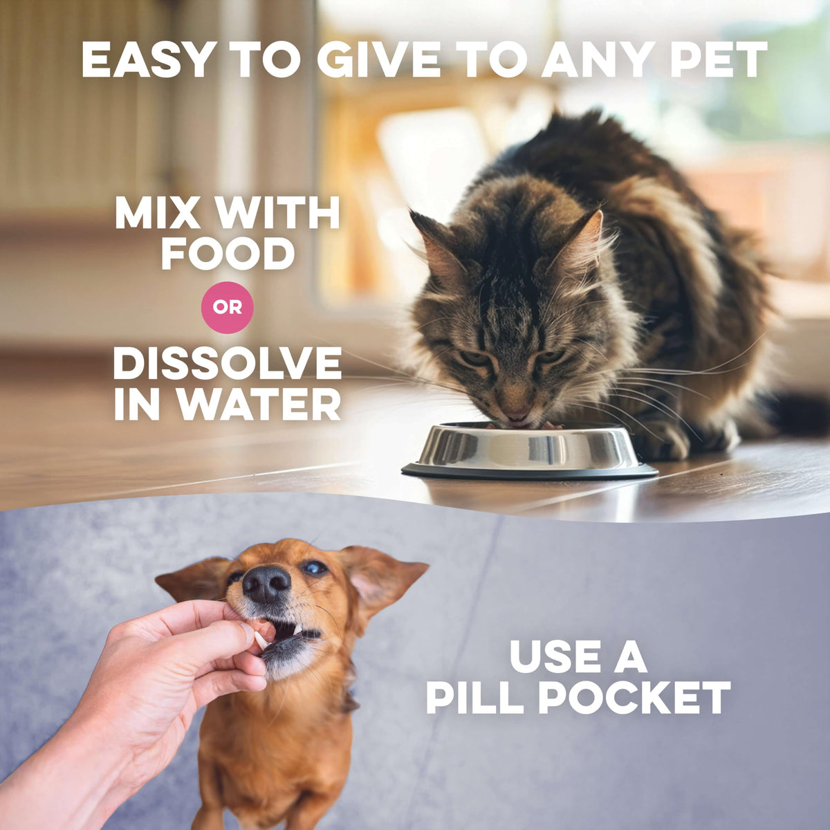 Weight Loss for Dogs 400 Pills P12221