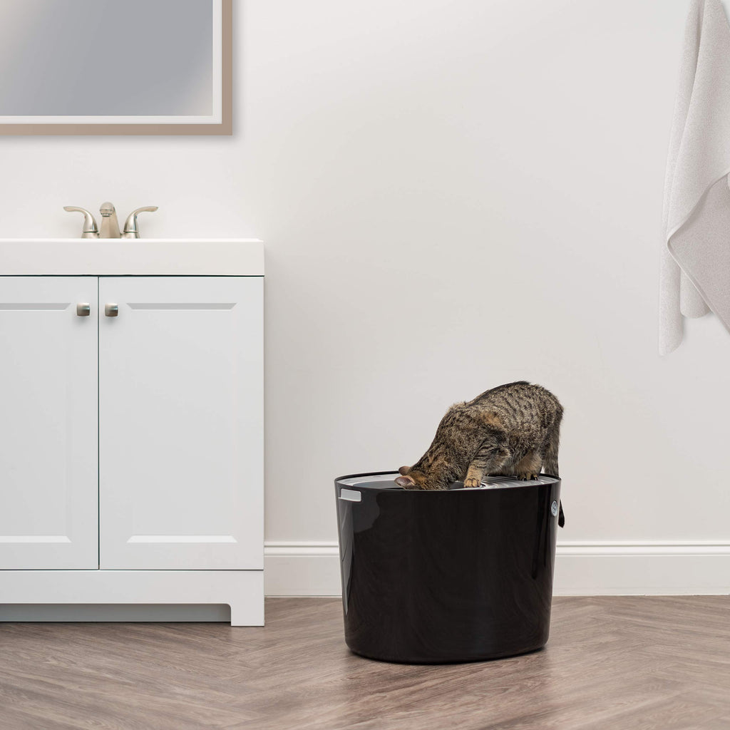 Top Entry Cat Litter Box, Large, Black/Gray G5399