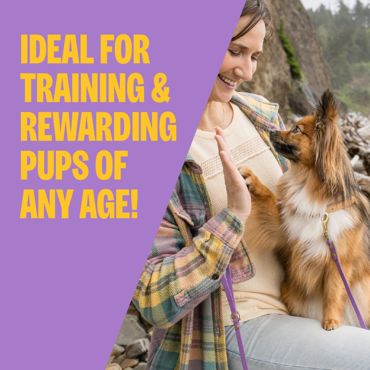 Soft Grain Free Lamb and Salmon Recipe Dog Training Treats 8 oz Bag X47718