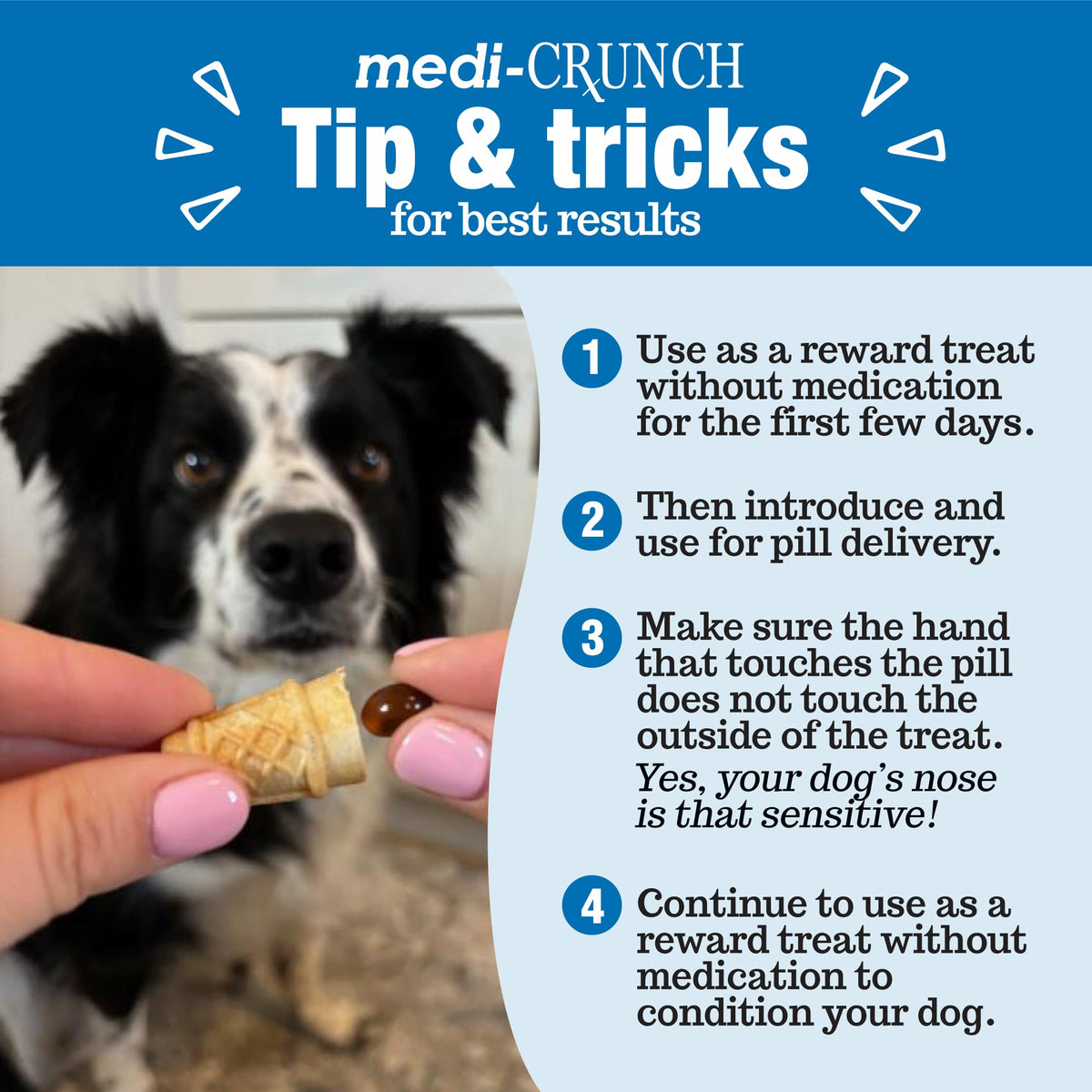 Peanut Butter Dog Pill Treats 60 Count F923