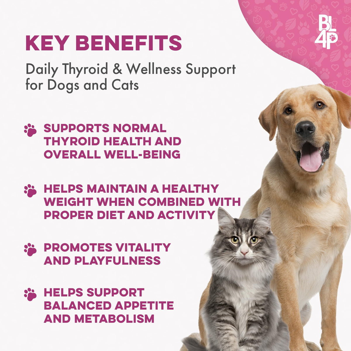 Weight Loss for Dogs 400 Pills P12221