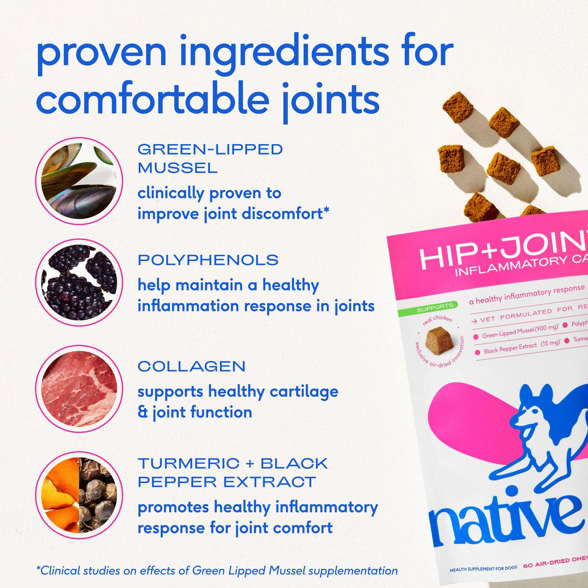 Green-Lipped Mussel Turmeric Collagen Hip and Joint Supplement for Dogs 120 Chews N438