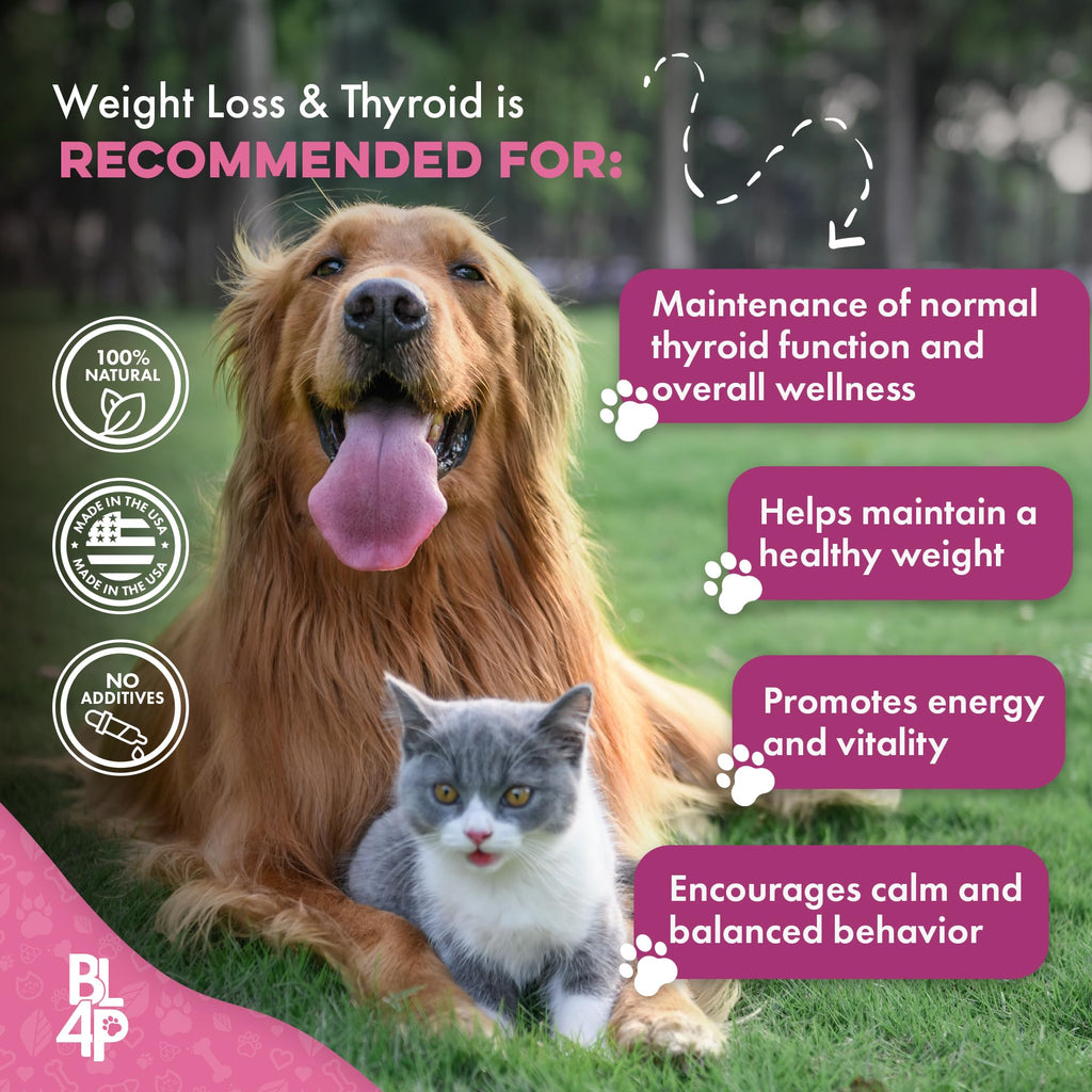 Weight Loss for Dogs 400 Pills P12221