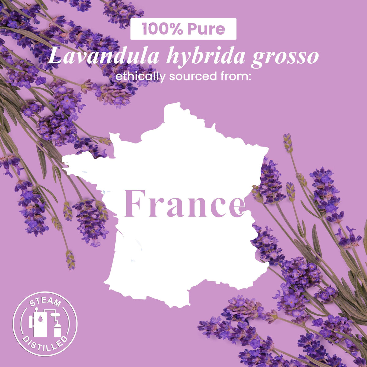 Lavender and Orange Essential Oils 2 x 4 Fl Oz L346