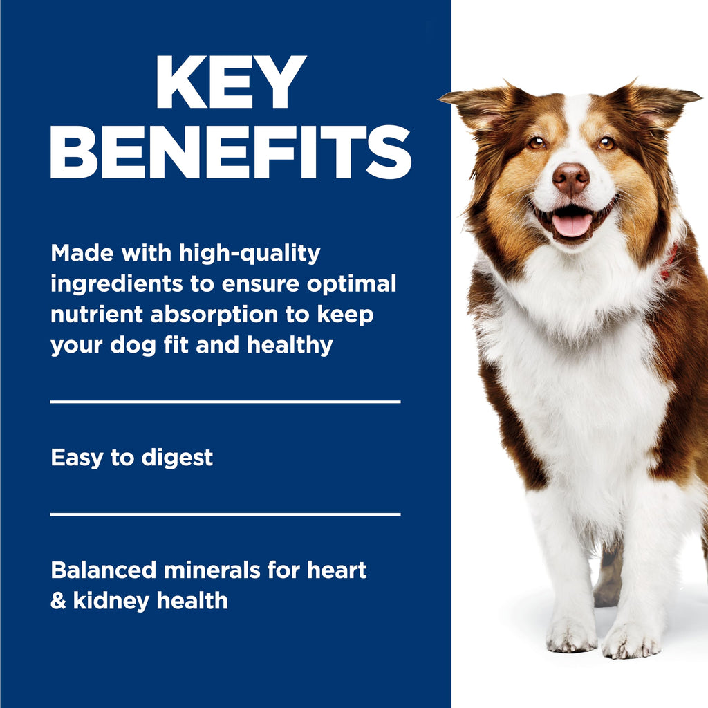 Wet Dog Food H4362