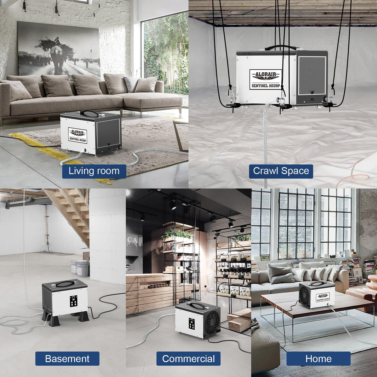 70 PPD Dehumidifier with Pump W5389