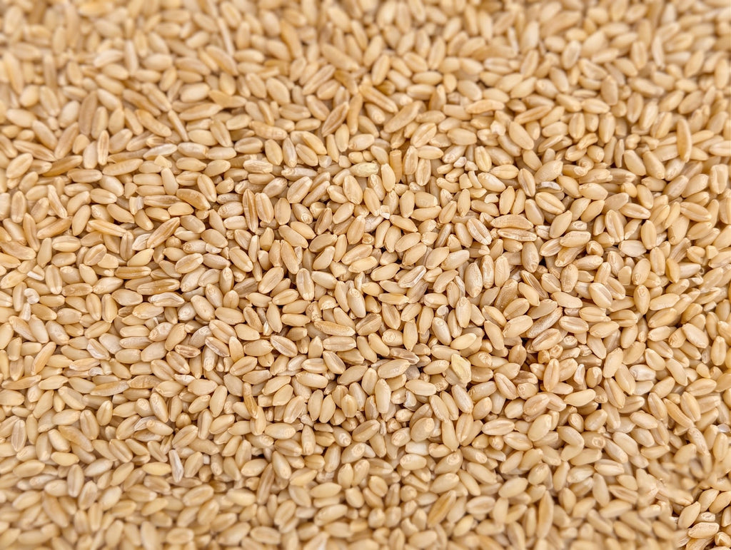 Organic Hard White Wheat Berries 25 Pounds G494739