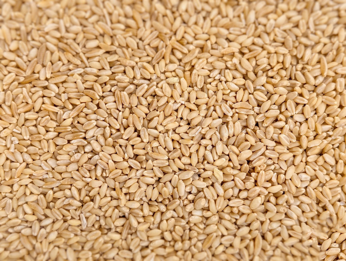 Organic Hard White Wheat Berries 25 Pounds G494739